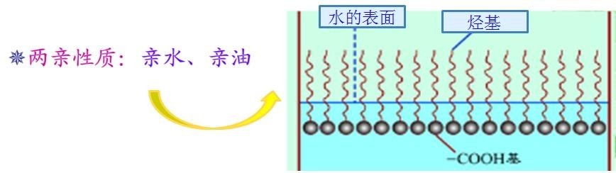 <a href='http://www.fpt57.com/product/product-0001,0011,0018.shtml' class='keys' title='點擊查看關(guān)于潤濕劑的相關(guān)信息' target='_blank'>潤濕劑</a>